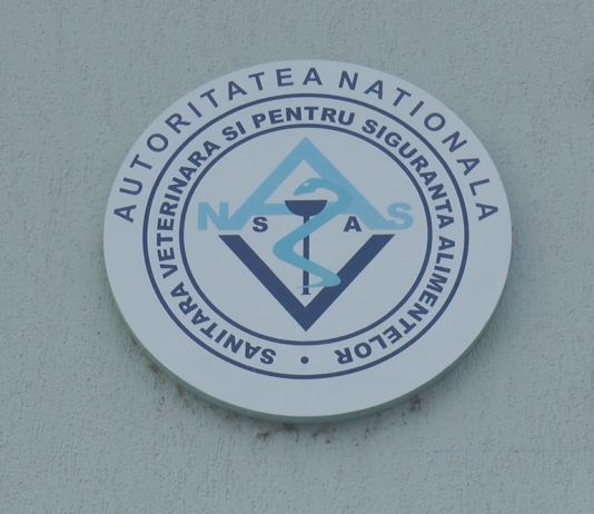 CONTROALE AMĂNUNȚITE ÎN PIEȚE