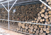 STOCURI DE LEMNE LA PREȚURI MAI MARI