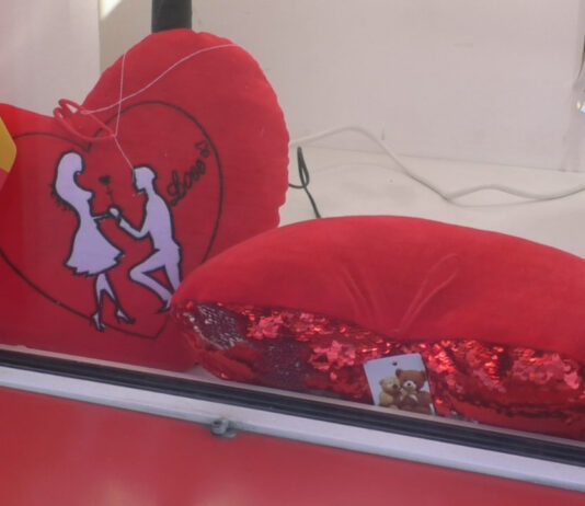 SĂRBĂTOARE ÎN CĂSUŢELE DE TIP FAMILIAL SF. VALENTIN