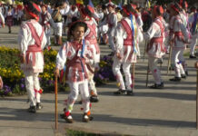 OLTUL – TĂRÂMUL CĂLUȘULUI