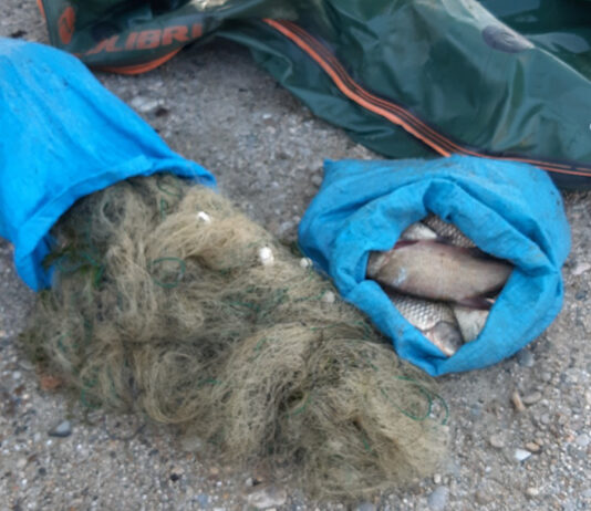 DOSARE PENALE PENTRU BRACONAJ