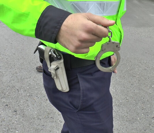 PRINȘI ÎN FLAGRANT LA GRĂDINILE