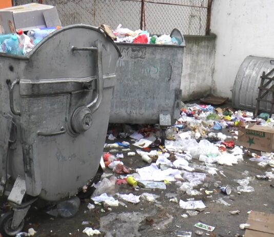 Pericolul vine și de la ghena de gunoi