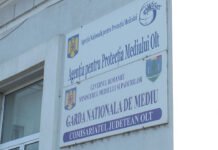 CURĂȚENIA LA CONTROL. CODAȘI LA RECICLARE