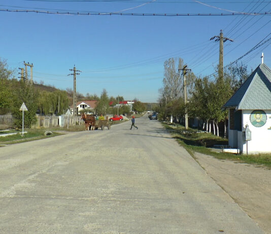 PESTE 1000 DE PERSOANE LEGITIMATE ÎN COMUNA SCHITU