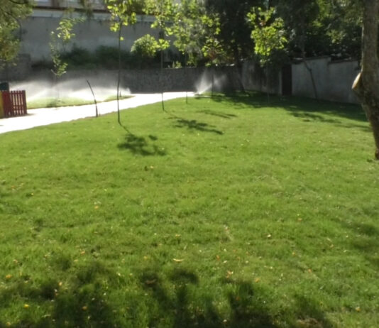 O NOUĂ OAZĂ DE VERDEAȚĂ ÎN SLATINA