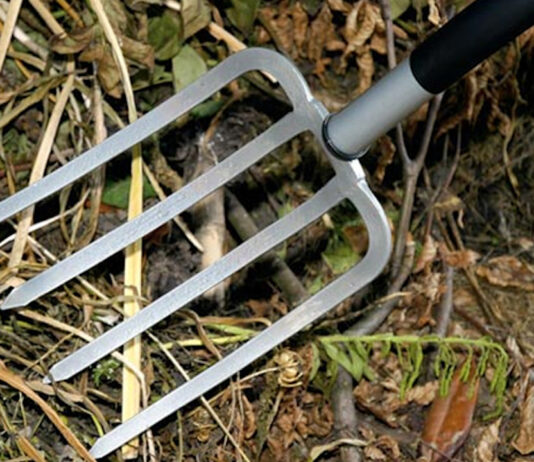 TERIFIANT: I-A ÎNFIPT FURCA ÎN CAP SOREI LUI