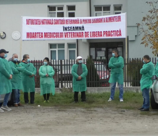 MEDICII VETERINARI AU PROTESTAT LA DSVSA