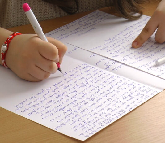 TEZELE, SUBIECT DE DISPUTĂ ELEVI-PROFESORI