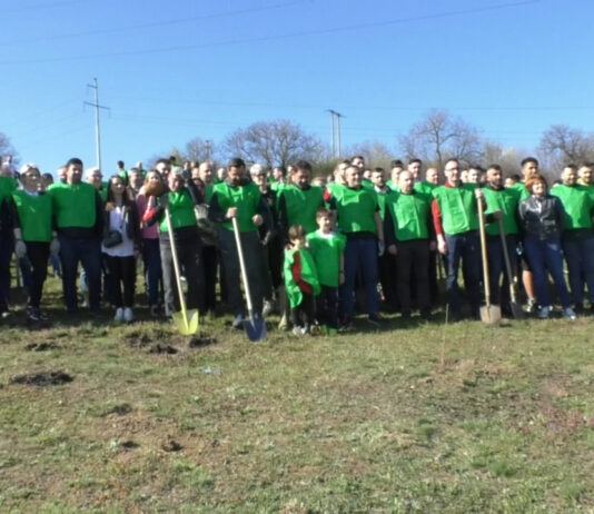 TSD Olt va planta o nouă pădure la Dobrosloveni
