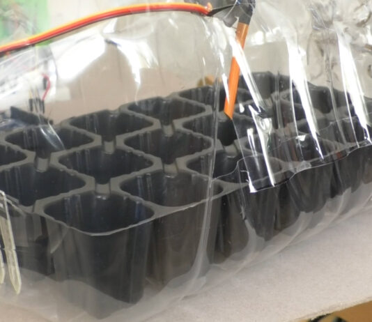 ROBOȚII AU CUCERIT PALATUL COPIILOR