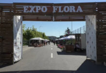 INVITAȚIE LA Expo Flora