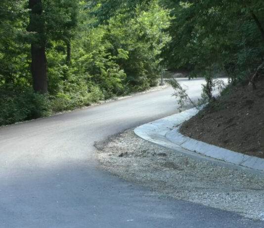 LUCRĂRI ÎN GRAFIC LA PĂDUREA STREHAREȚI