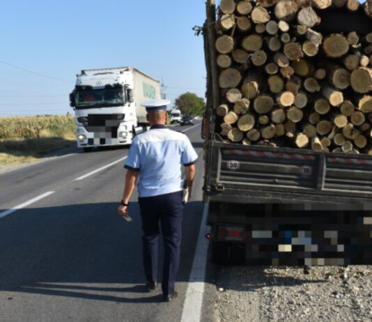 SANCŢIONAT PENTRU TRANSPORT ILEGAL DE MATERIAL LEMNOS