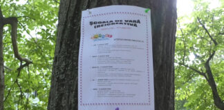 LA ȘCOALA DE VARĂ DE LA NICOLAE IORGA