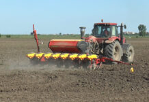 CULTURILE DE PRIMĂVARĂ ÎN GRAFIC