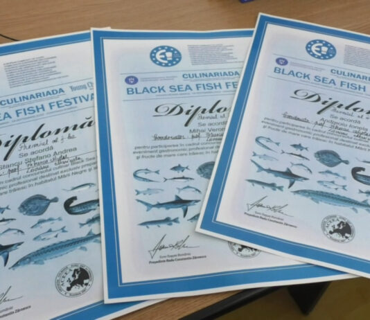 VIITORI BUCĂTARI DE TOP, LA ECONOMIC