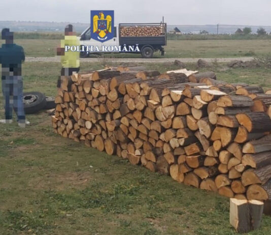 ACTIVITĂȚI DESFĂȘURATE DE POLIȚIȘTI PE LINIA PREVENIRII ȘI COMBATERII DELICTELOR SILVICE