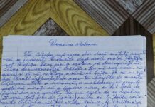 Dincă cere familiei Luizei să se alieze. ” Sunt supărat că sunt acuzat pe nedrept’’