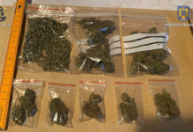 Vindeau cannabis ca la piață. Cei doi slătineni au fost prinși de polițiști
