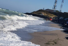 Ziua Internaţională a Mării Negre