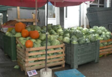 PRODUCȚIA DE VARZĂ NU ESTE „VARZĂ”