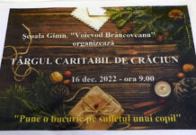 TÂRG CARITABIL LA ȘCOALA DIN BRÂNCOVENI