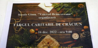 TÂRG CARITABIL LA ȘCOALA DIN BRÂNCOVENI