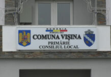 LUCRĂRI ÎN GRAFIC LA VIȘINA