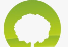 Modificări la procedura de aplicare a vizei anuale a autorizațiilor