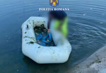 MII DE CERCETĂRI ŞI CONTROALE ÎN 2022