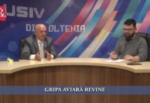 GRIPA AVIARĂ REVINE