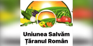 Ajutor de stat cu caracter de urgenta