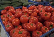 PRODUCĂTORII RĂMÂN CU MARFA PE TARABE