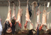 Acțiuni de control derulate în perioada premergătoare Sărbătorilor Pascale