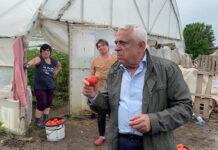 ROȘIILE DIN IZBICENI AU TRECUT TESTUL „DAEA”