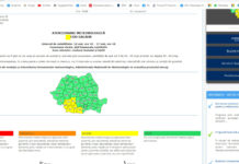 COD GALBEN DE PLOI ÎNSEMNATE CANTITATIV