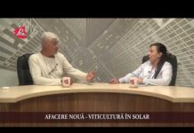 AFACERE NOUĂ – VITICULTURĂ ÎN SOLAR