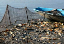 FLORIN BARBU, MINISTRUL AGRICULTURII, VA CERE COMISIEI EUROPENE SĂ ACORDE FORME DE SPRIJIN DESTINATE SECTORULUI PESCUIT ȘI ACVACULTURĂ