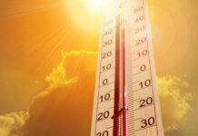 Meteorologii au emis noi avertizari de canicula. Urmează patru zile de caniculă.