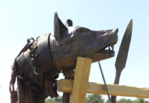 ÎN OLT REVIN DACII ȘI ROMANII