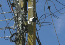 PROIECTE DEMNE DE O COMUNĂ EUROPEANĂ