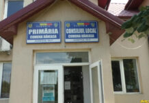 COPIII ÎN ATENŢIA PRIMARULUI, LA DĂNEASA