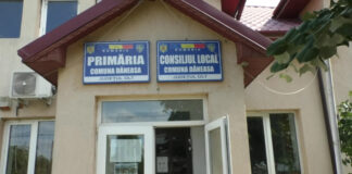 COPIII ÎN ATENŢIA PRIMARULUI, LA DĂNEASA