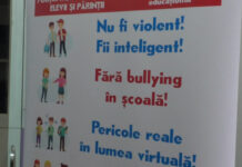 VICTIMELE BULLYING-ULUI – DISTRUSE PSIHIC