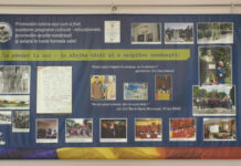 BULĂ DE LA COLONEŞTI – „CANDIDEZ PÂNĂ VOR FI GAZE ÎN TOATE SATELE”