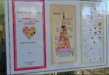 GUSTUL DIN FARFURIE, AMINTIRI DIN COPILĂRIE