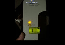 CERCETAT PENTRU CONDUCEREA UNUI VEHICUL SUB INFLUENŢA ALCOOLULUI