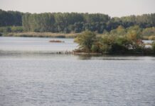 Ziua Mondială a Zonelor Umede – „Zonele umede și bunăstarea umană”