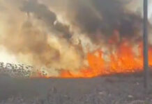 ZECI DE INCENDII DE VEGETAŢIE ÎN PRIMA SĂPTĂMÂNĂ DIN FEBRUARIE